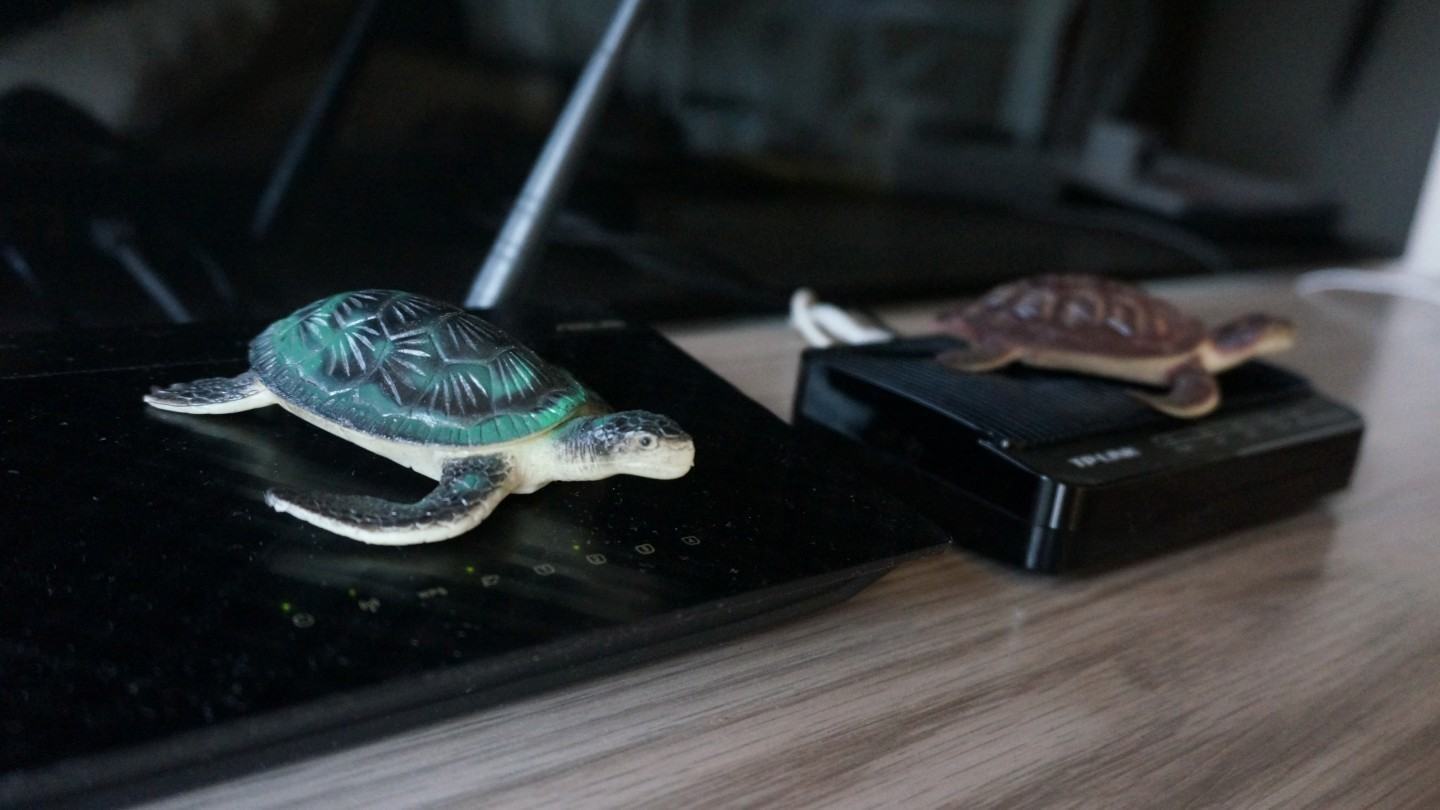 Tartarugas de plástico em cima do roteador e modem.