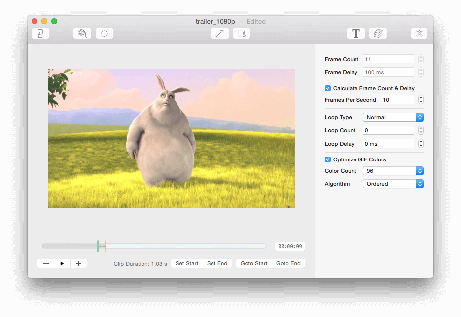 Print do GIF Brewery 3 para OS X.