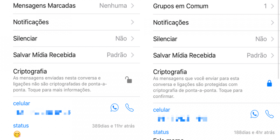 Sem criptografia e com criptografia no WhatsApp.